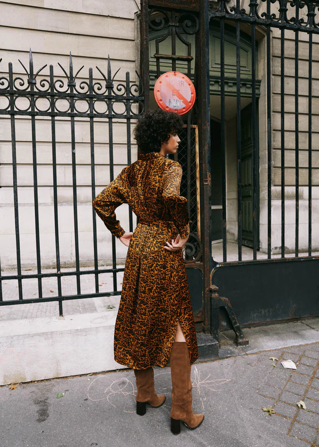 Adenisse Dress in Leopard Print