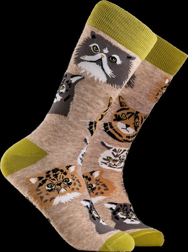Grumpy Cat Socks in Beige